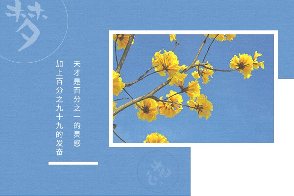 在职考研培训