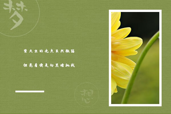 在职考研培训