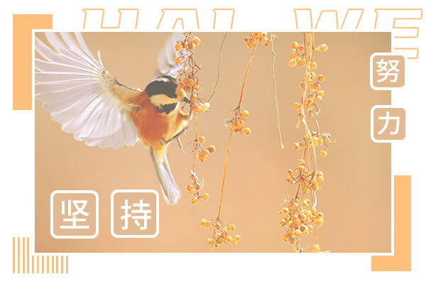 在职考研