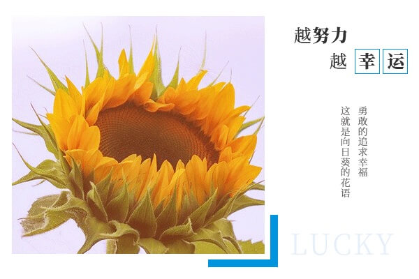 在职考研培训
