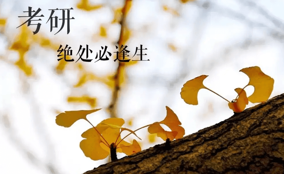 QQ截图20221021094456