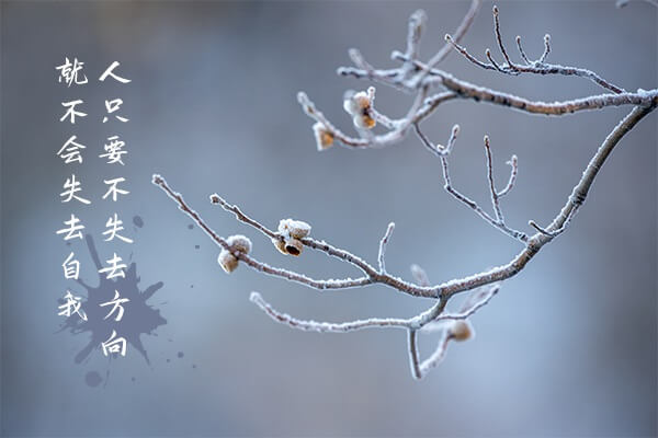 在职考研培训