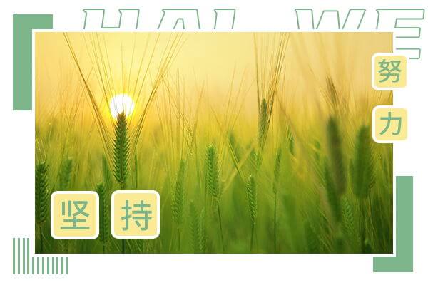 在职考研培训