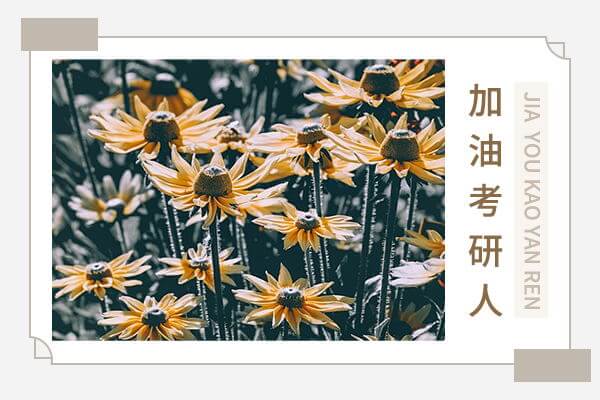 在职考研