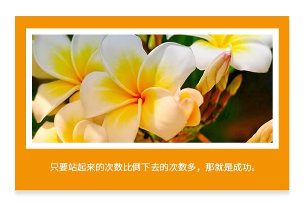 在职考研培训