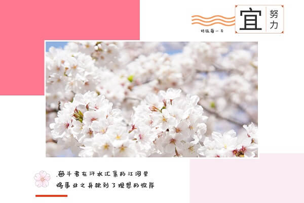 在职考研培训